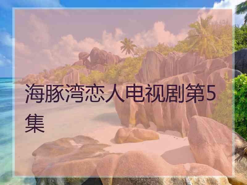 海豚湾恋人电视剧第5集