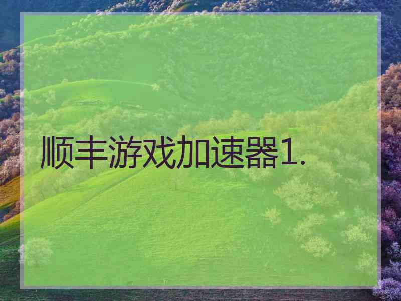 顺丰游戏加速器1.