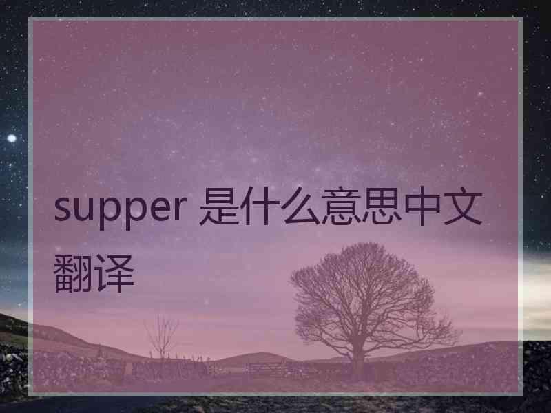 supper 是什么意思中文翻译