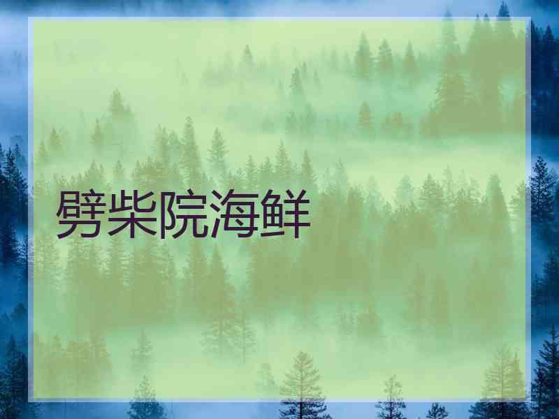 劈柴院海鲜