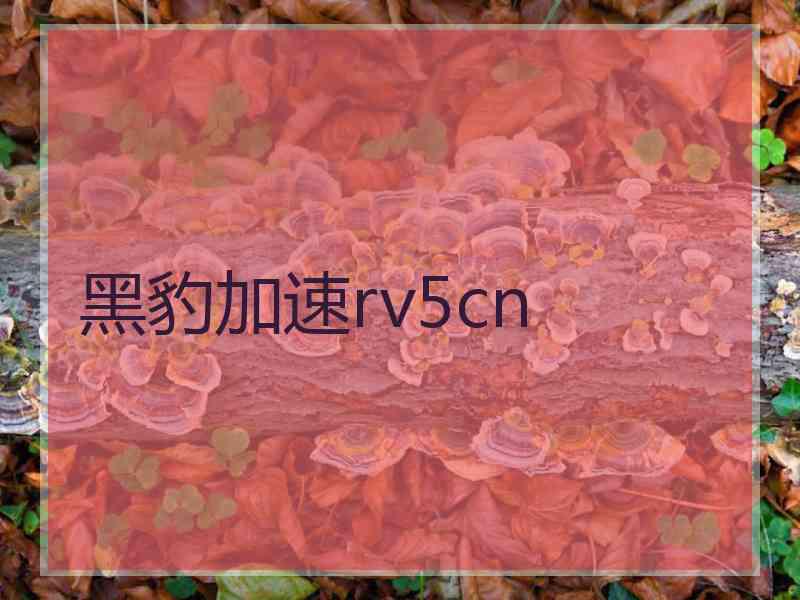 黑豹加速rv5cn
