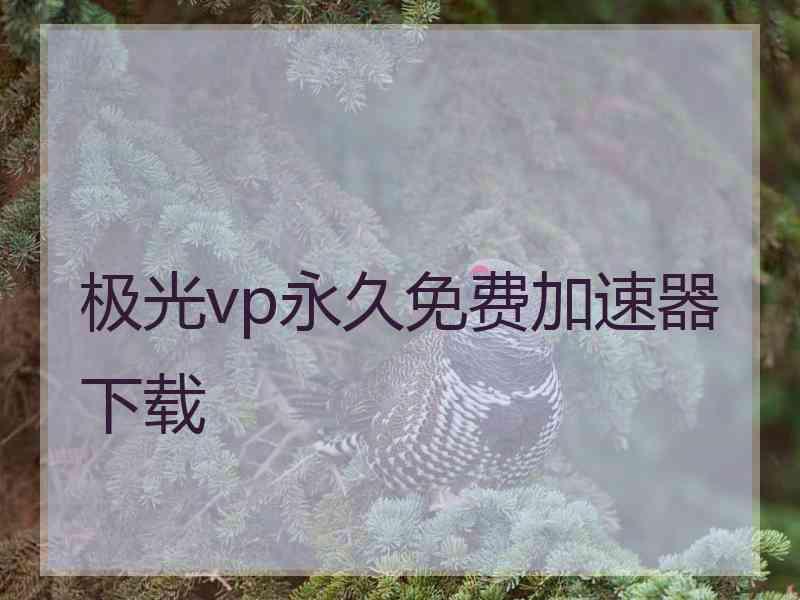 极光vp永久免费加速器下载