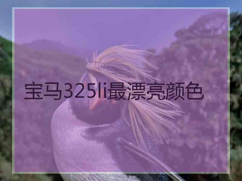 宝马325li最漂亮颜色