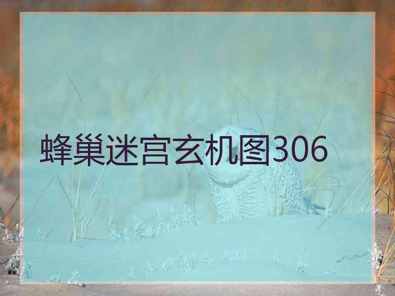 蜂巢迷宫玄机图306