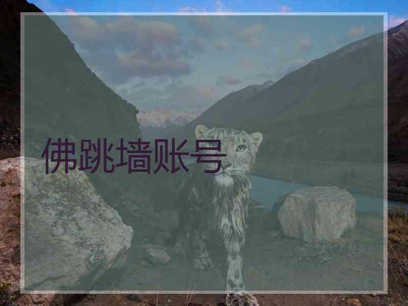 佛跳墙账号