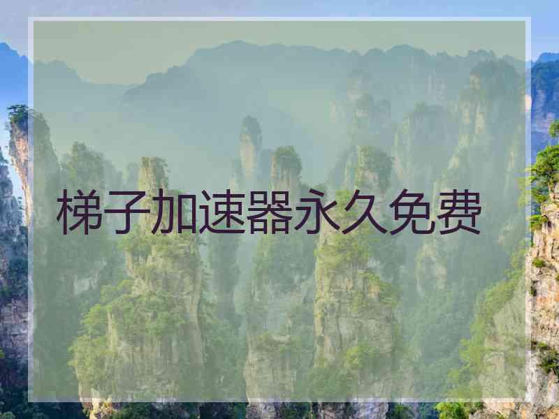 梯子加速器永久免费