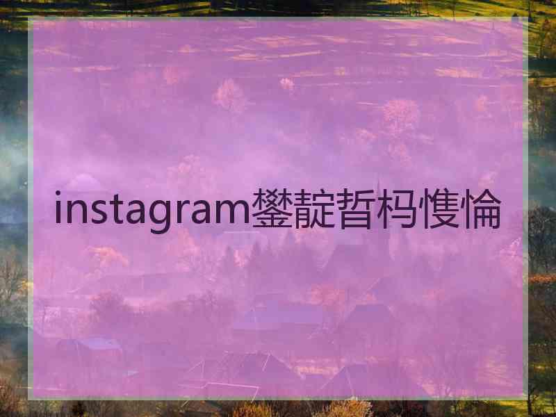 instagram鐢靛晢杩愯惀