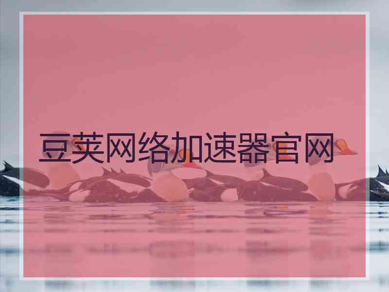豆荚网络加速器官网