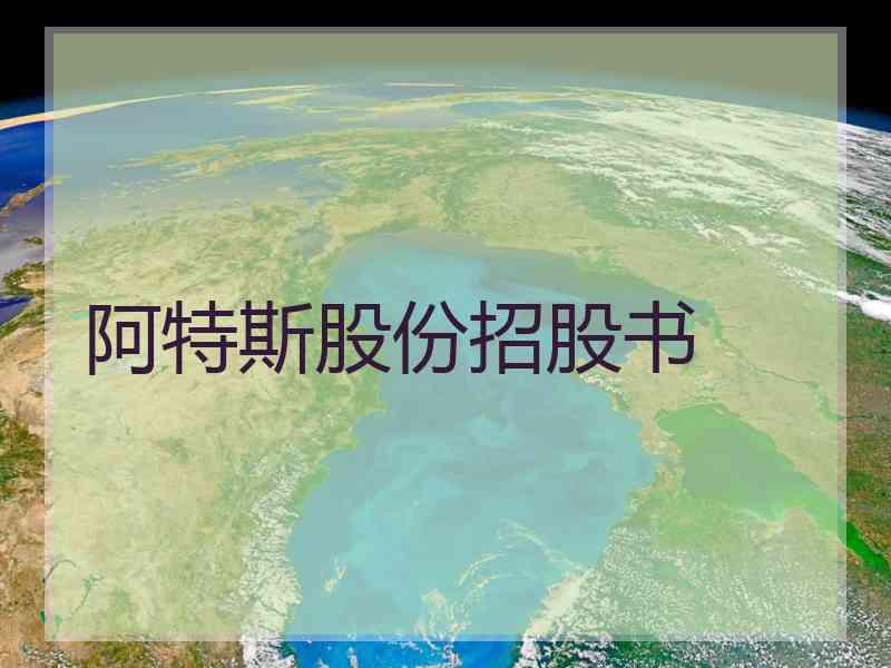 阿特斯股份招股书