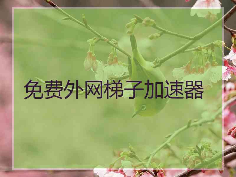 免费外网梯子加速器