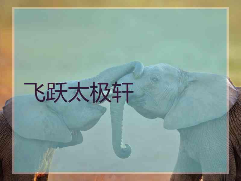 飞跃太极轩