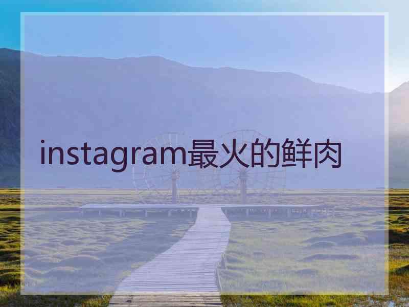 instagram最火的鲜肉