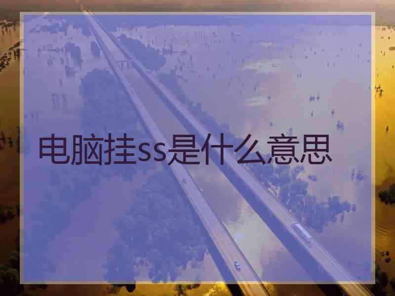 电脑挂ss是什么意思