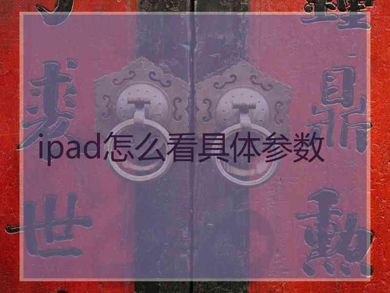 ipad怎么看具体参数