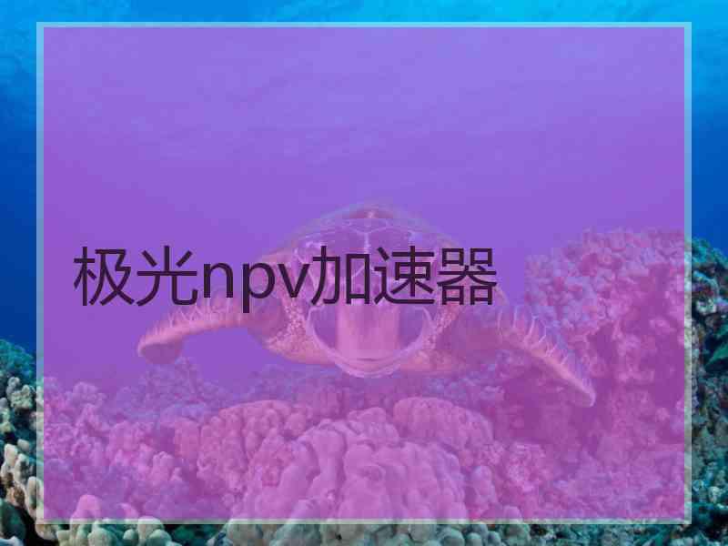 极光npv加速器