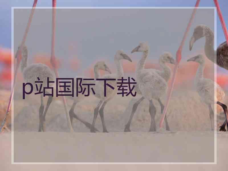 p站国际下载