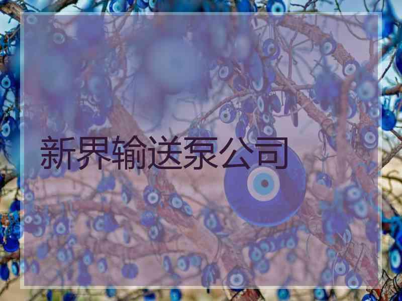 新界输送泵公司
