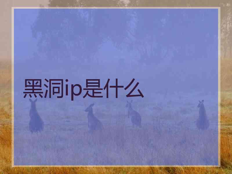 黑洞ip是什么