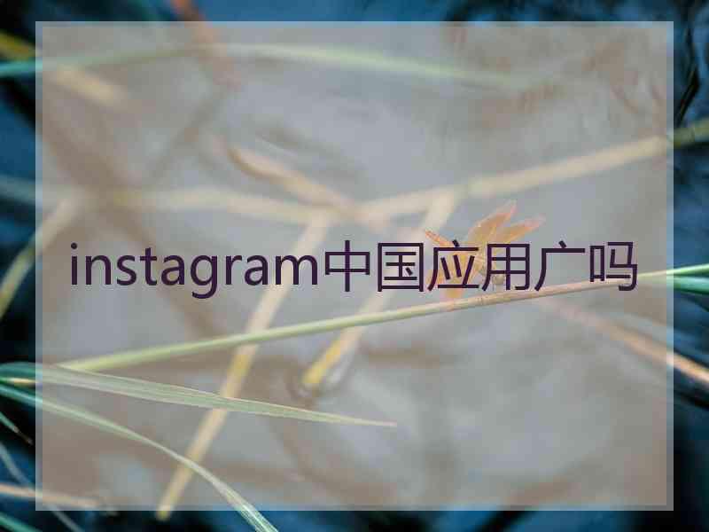 instagram中国应用广吗